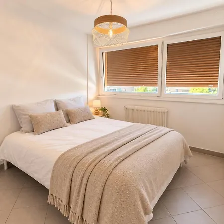 M029 T2 De Gamme En Centre Apartamento